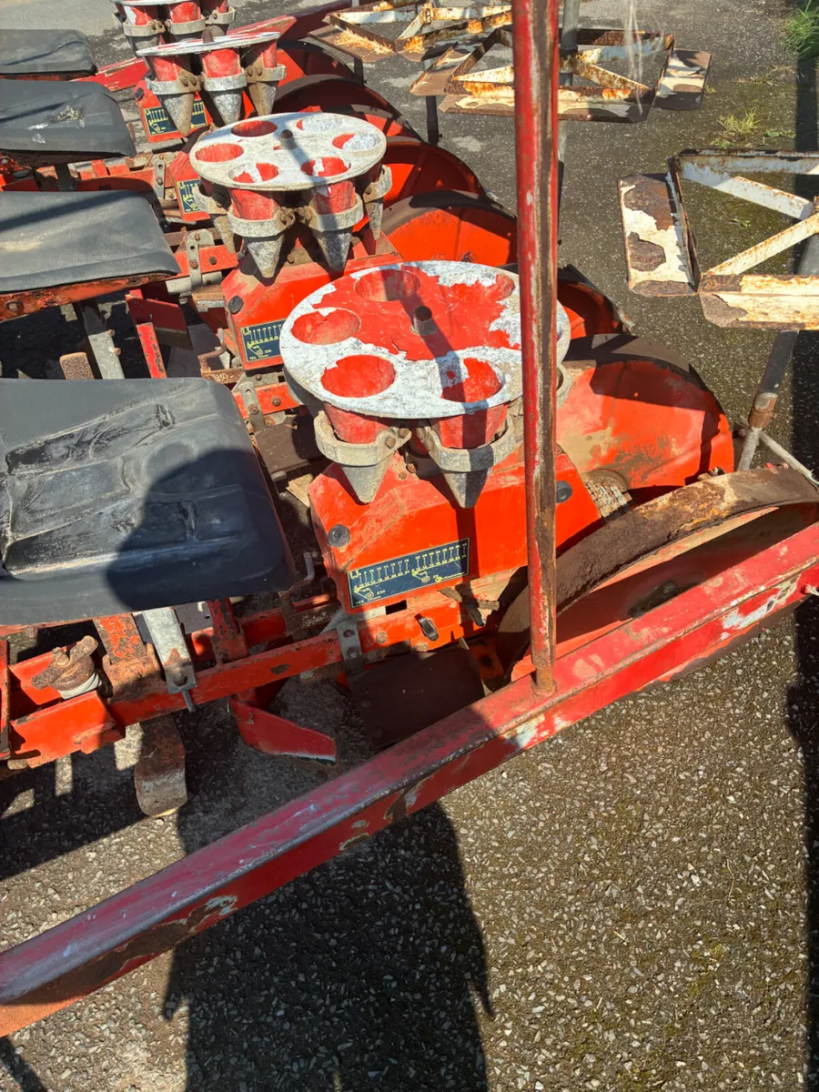 Chechi and Magili 4 row module planter - Image 4