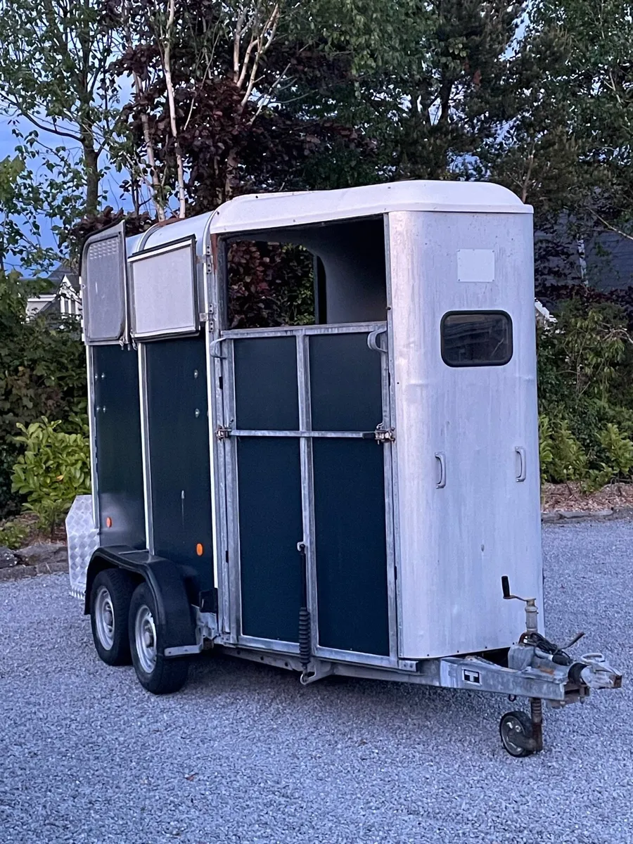Ifer Williams 505 for sale - Image 1