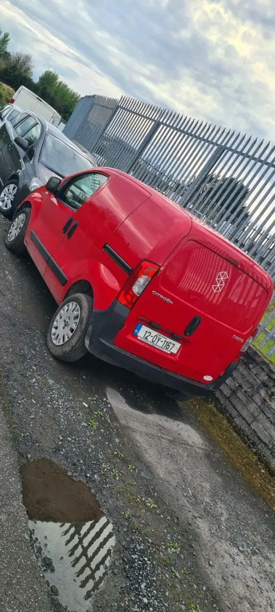 Citreon nemo - Image 2