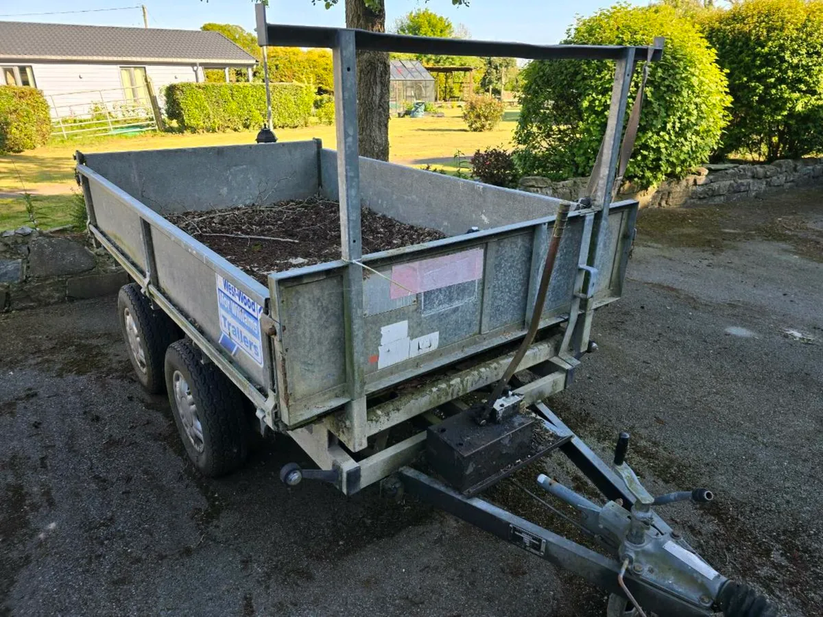 Ifor williams 8x4 tipper - Image 2