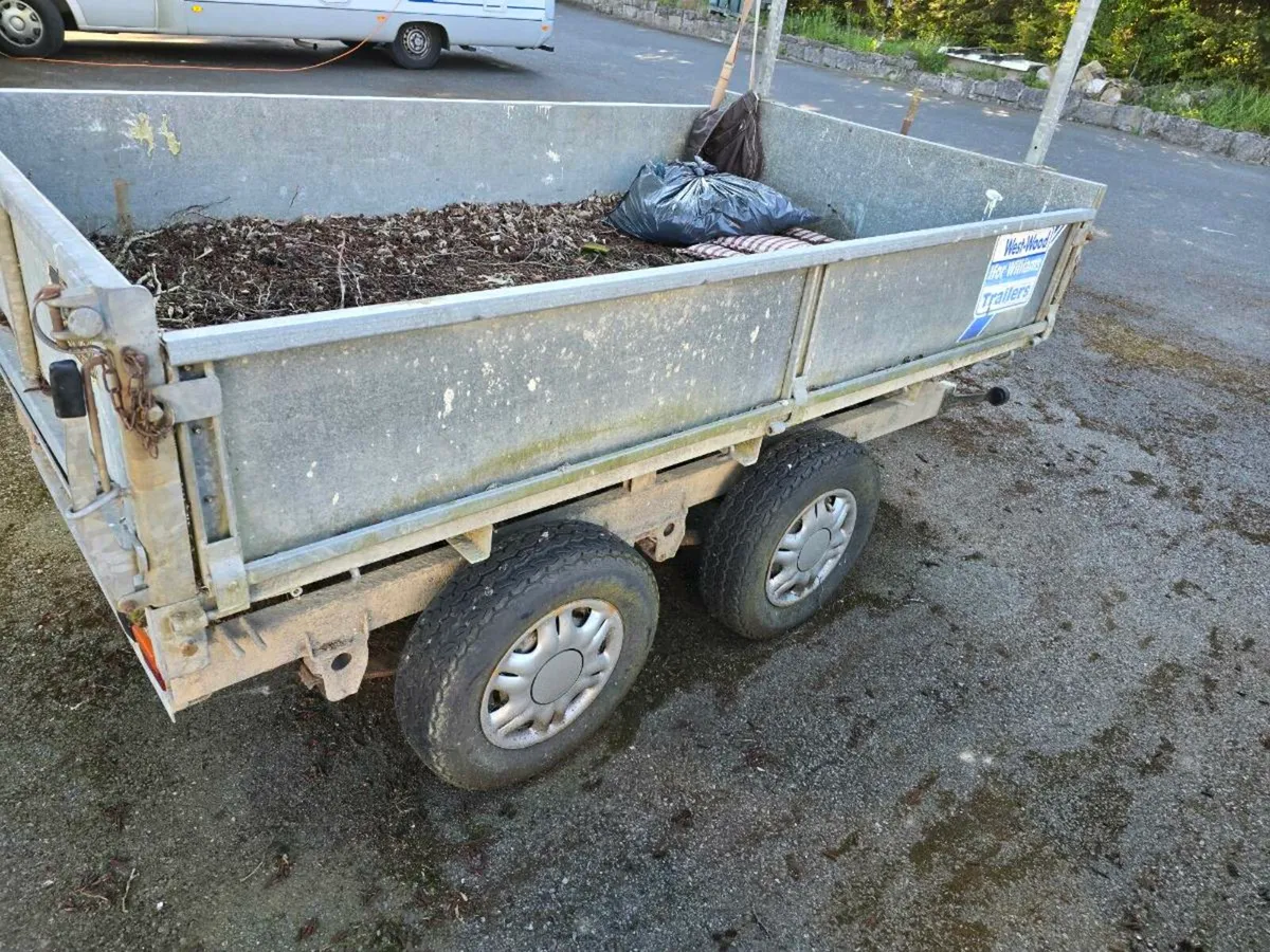 Ifor williams 8x4 tipper - Image 4