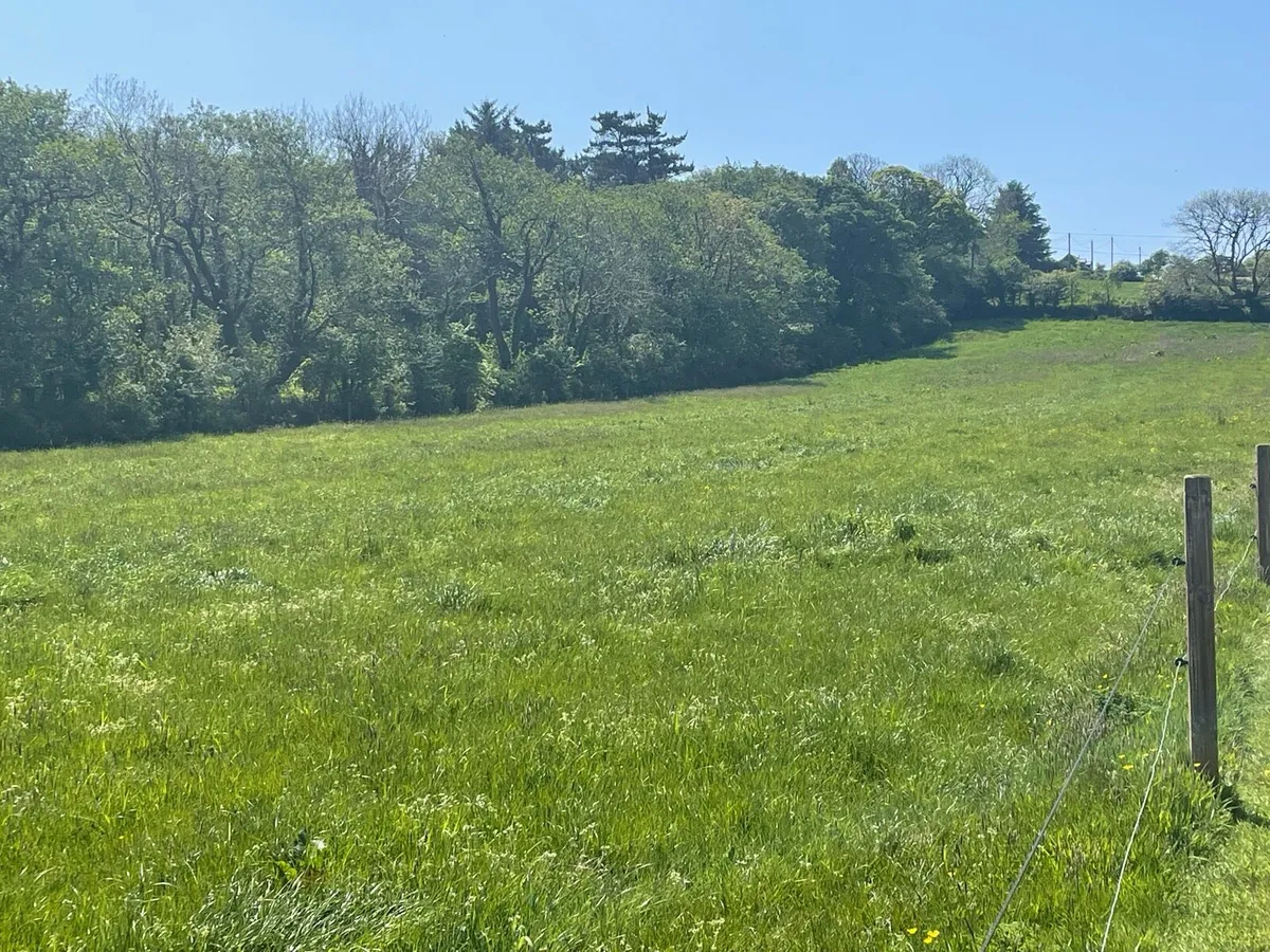 First Cut Silage - Image 1