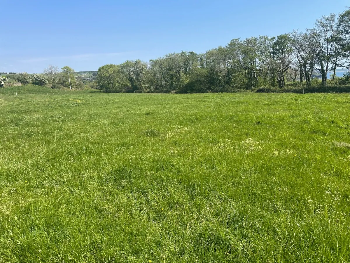 First Cut Silage - Image 3