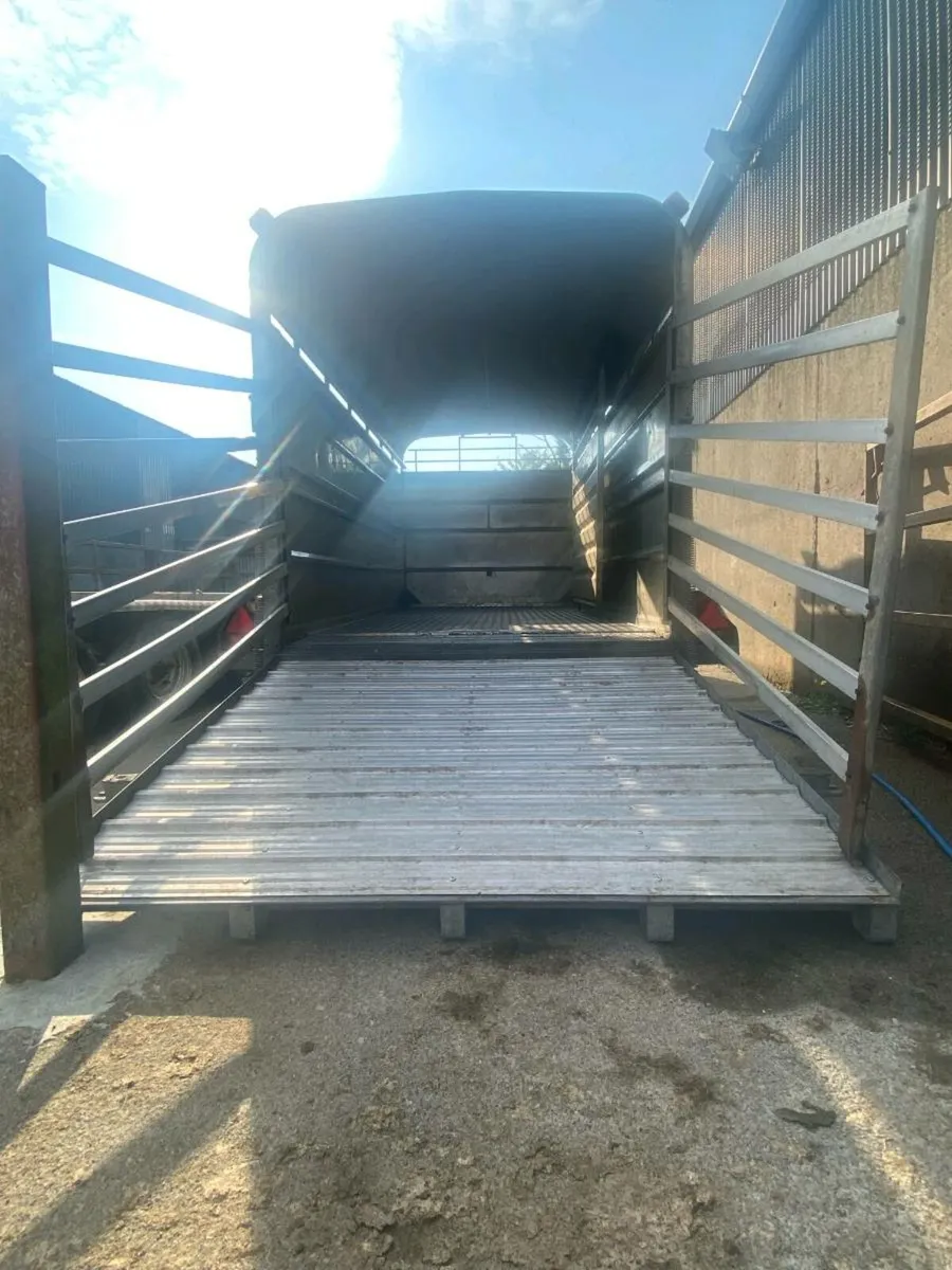 Cattle trailer - Image 3