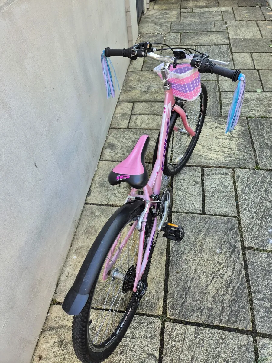 Ignite Montare bike 24" - Image 2
