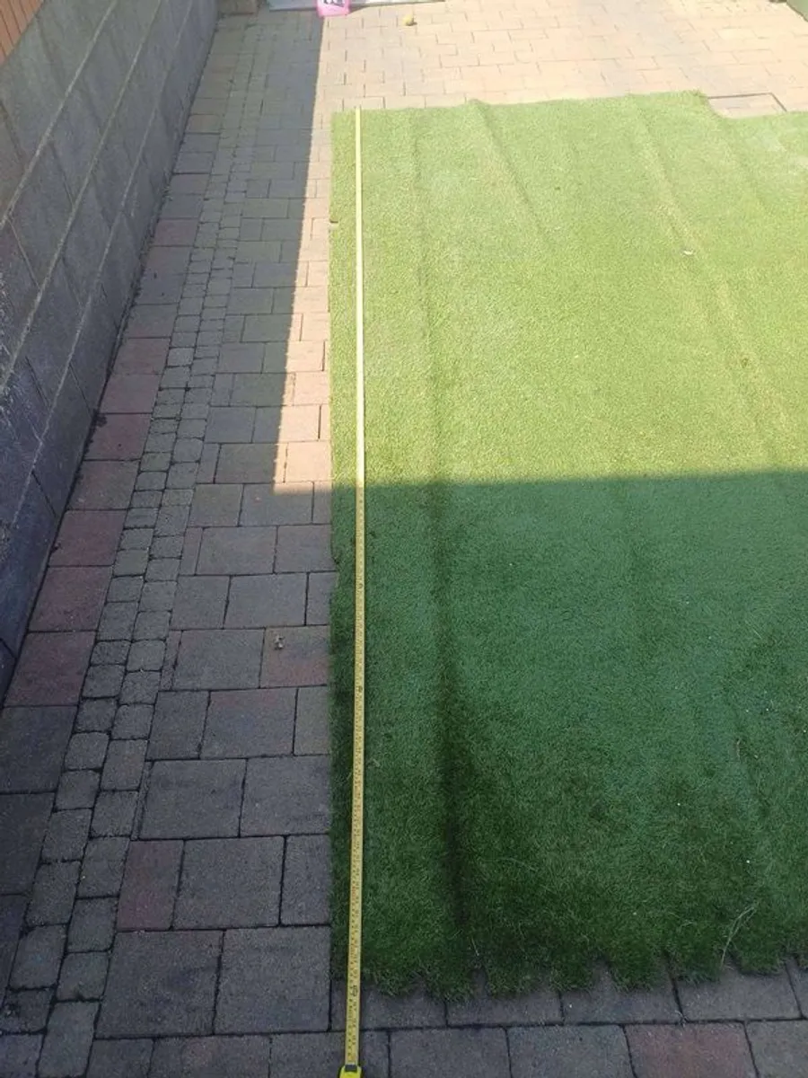 grass - Image 1