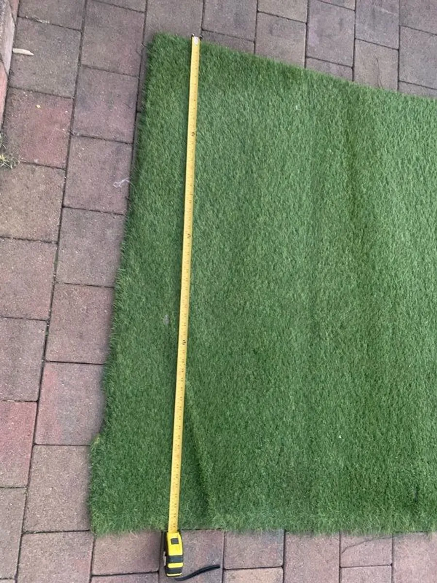 grass - Image 3