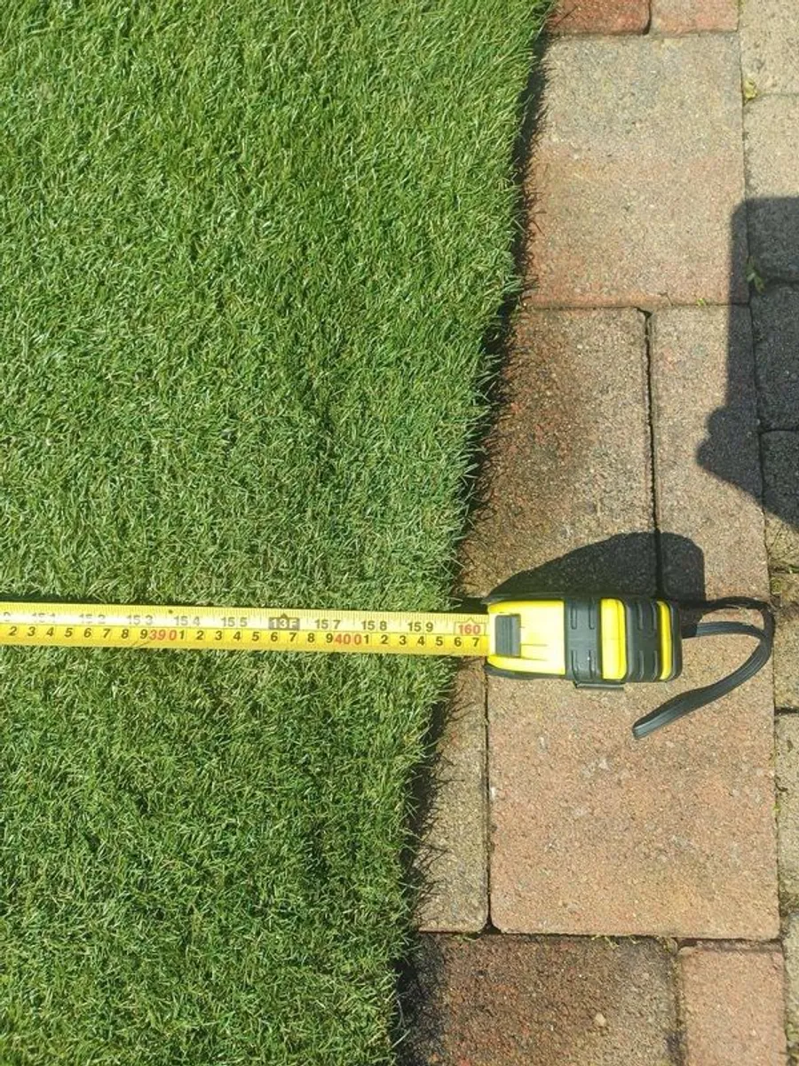 grass - Image 4