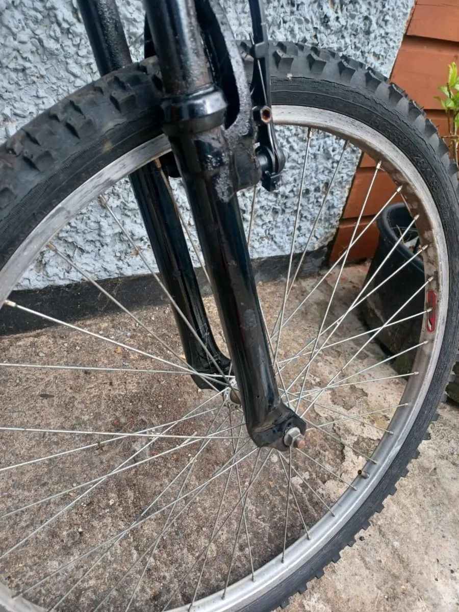 Apollo mountain bike - Image 4