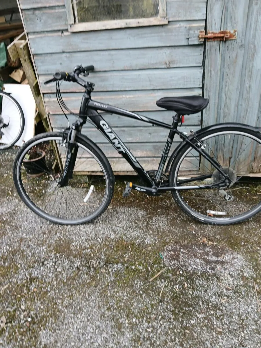 Bike for sale - Image 1