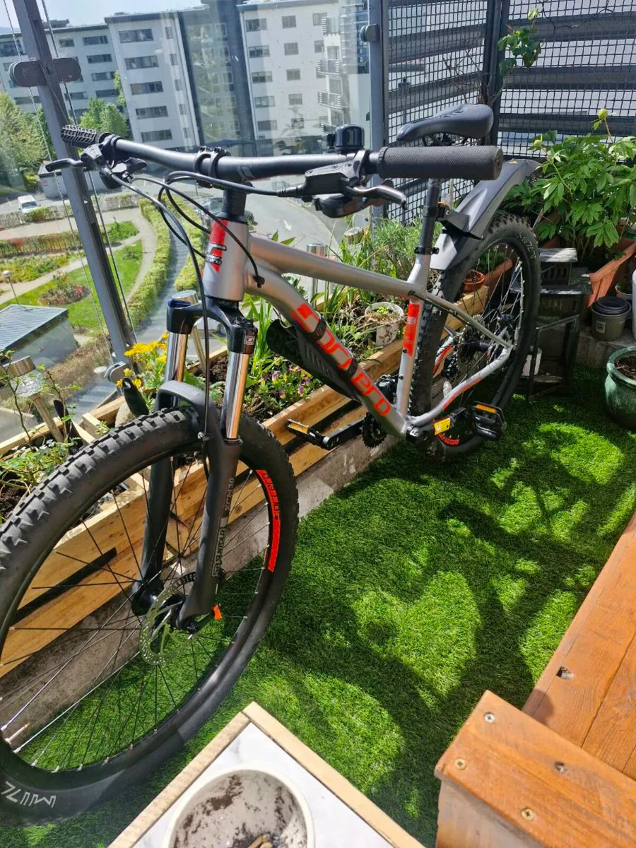 Carrera sulcatta - Image 1
