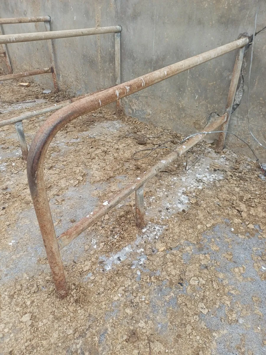 Cattle cubicles - Image 1