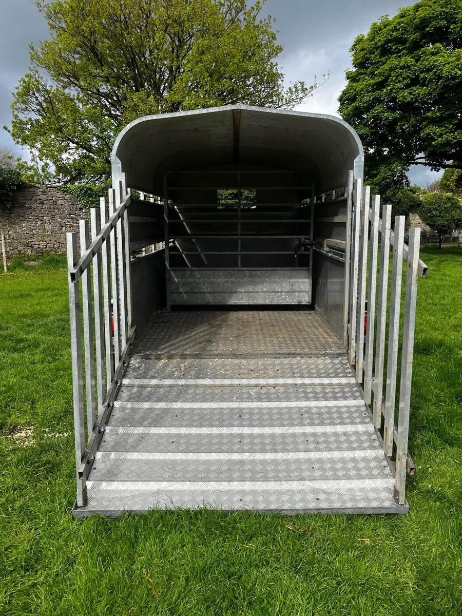 Crooks Livestock Trailer - Image 4