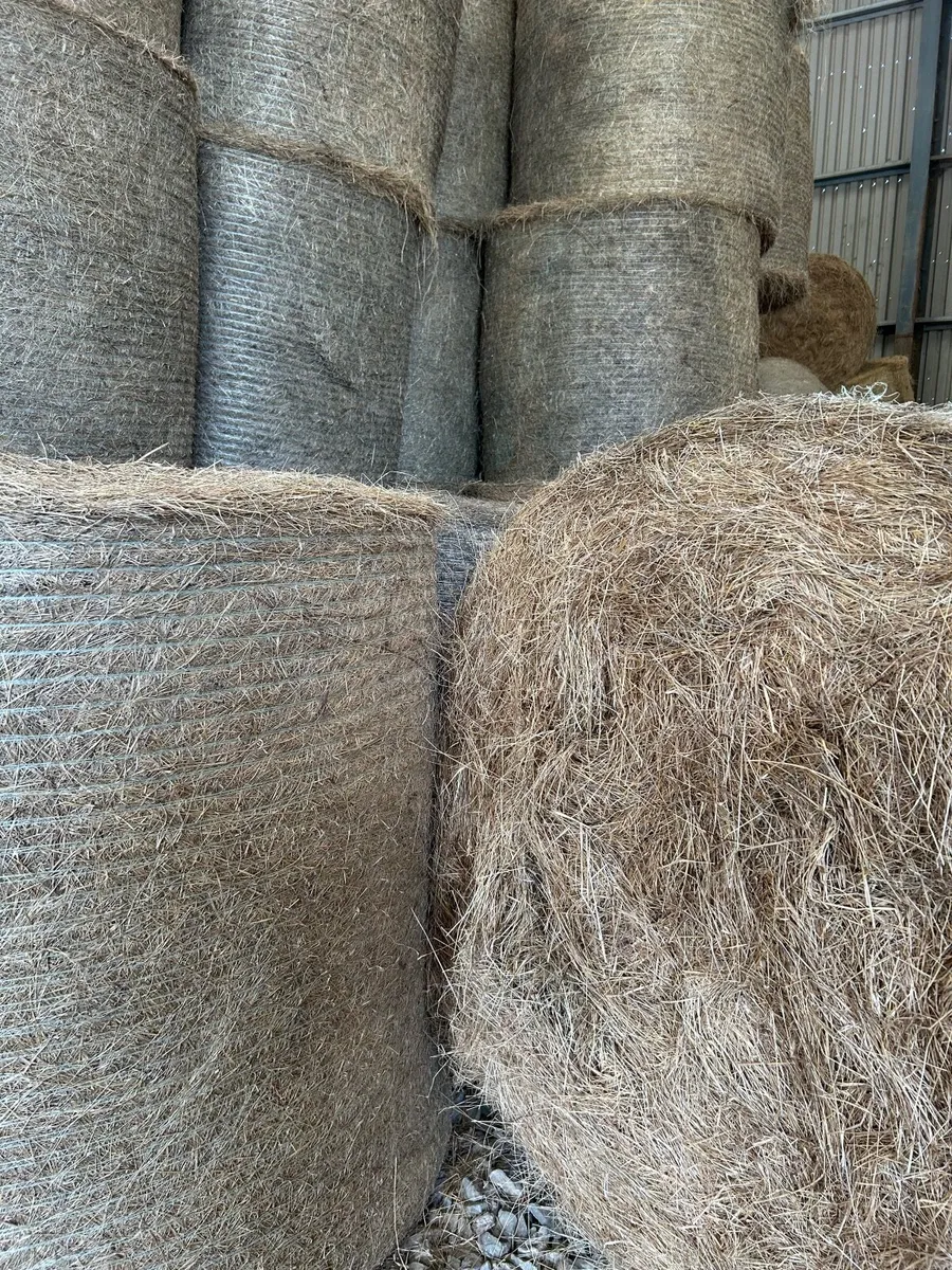 Bales of Horse Hay (no fertiliser or sprays) - Image 1