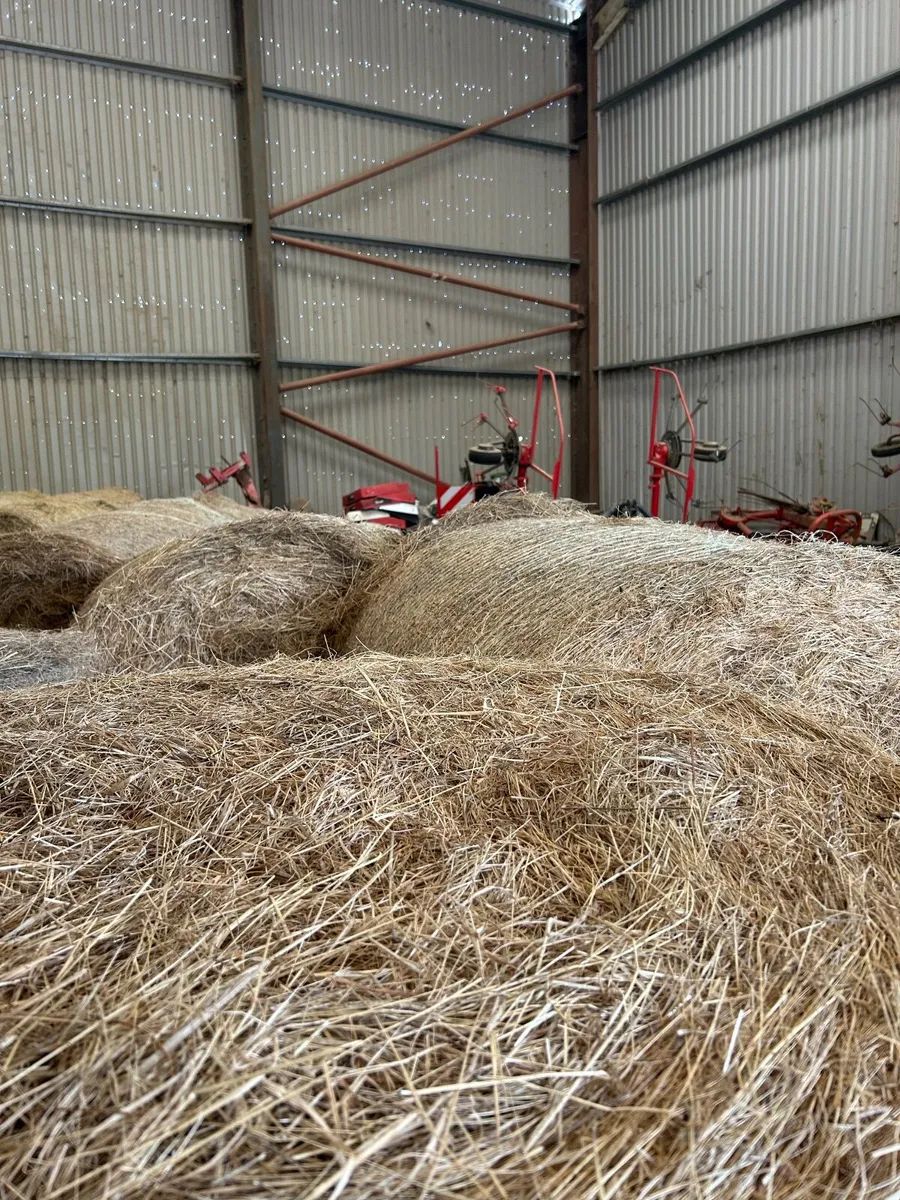 Bales of Horse Hay (no fertiliser or sprays) - Image 2