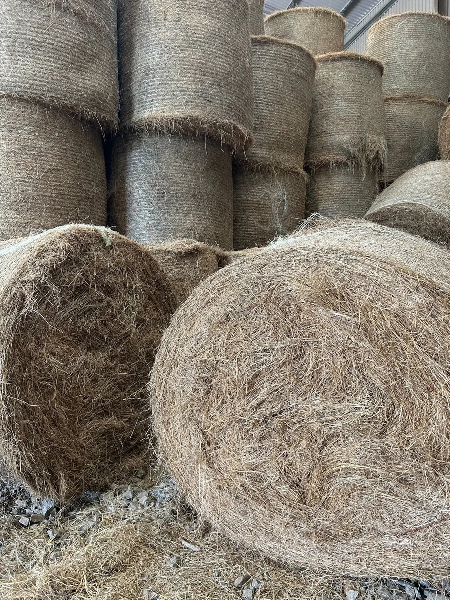Bales of Horse Hay (no fertiliser or sprays) - Image 4