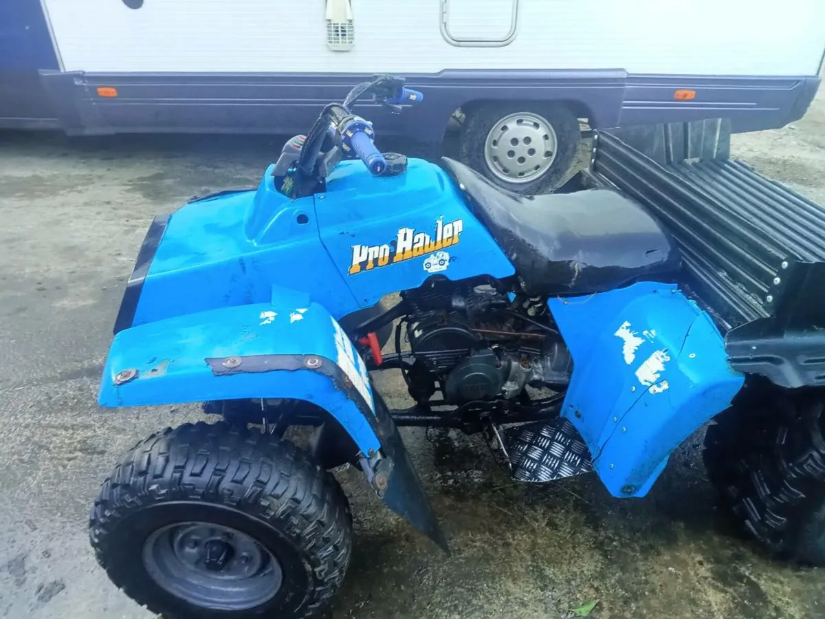 Yamaha pro hauler 250 quad - Image 2
