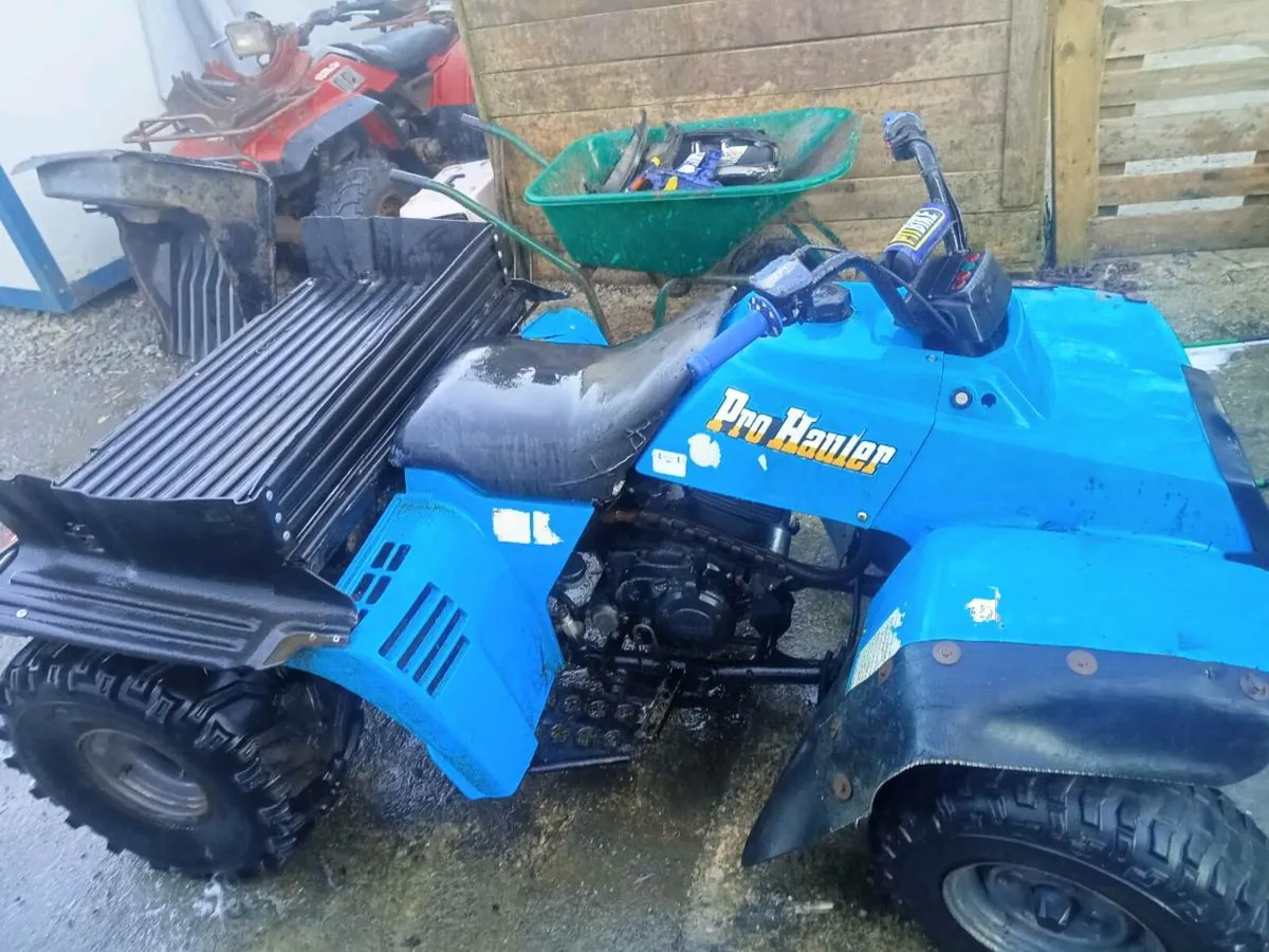 Yamaha pro hauler 250 quad - Image 1