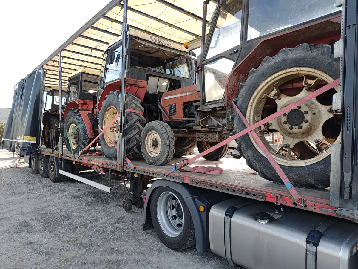zetor wanted - Image 2