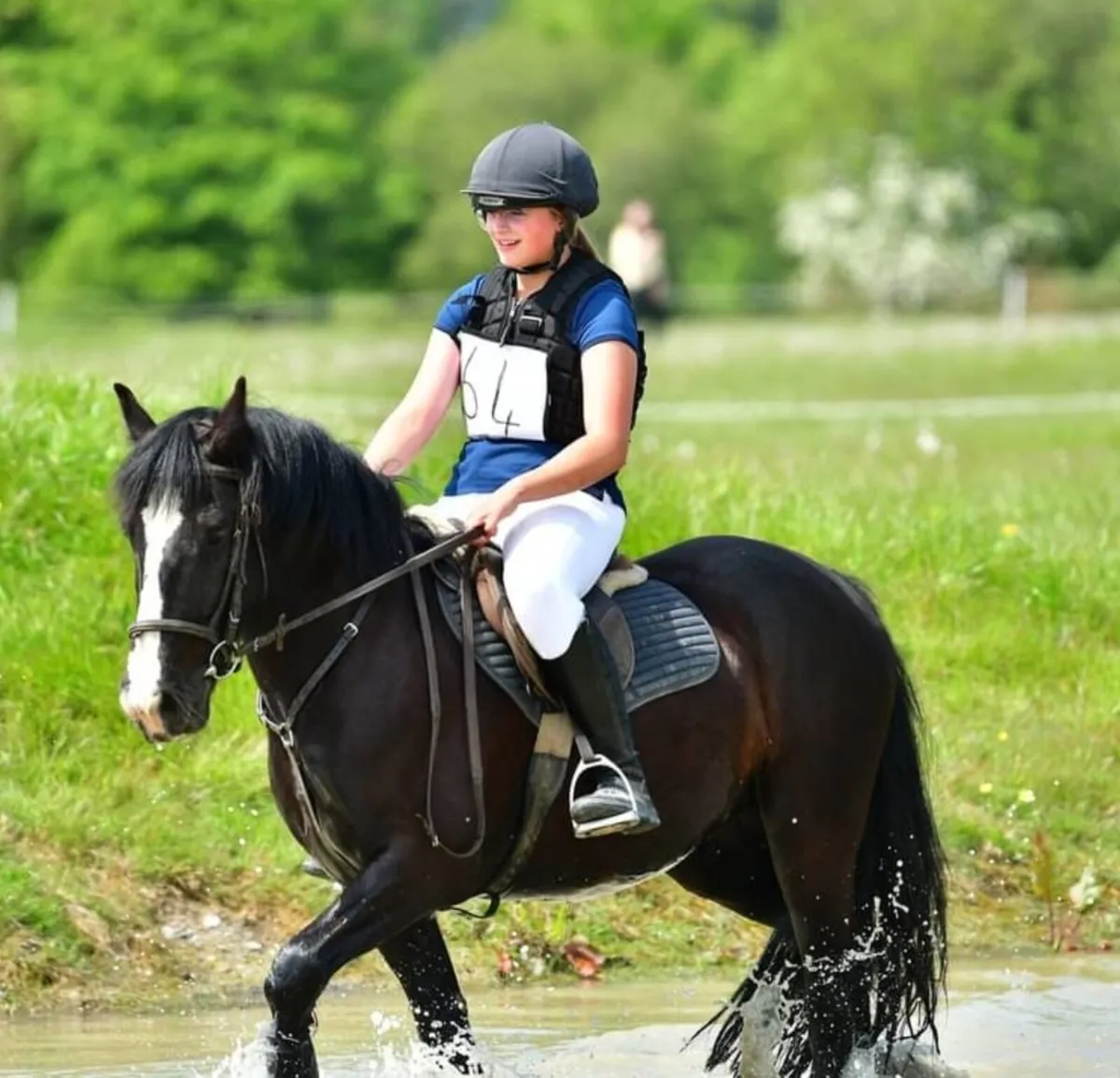 Super pony gelding - Image 1
