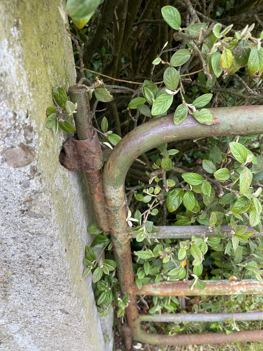 Gates - Image 1