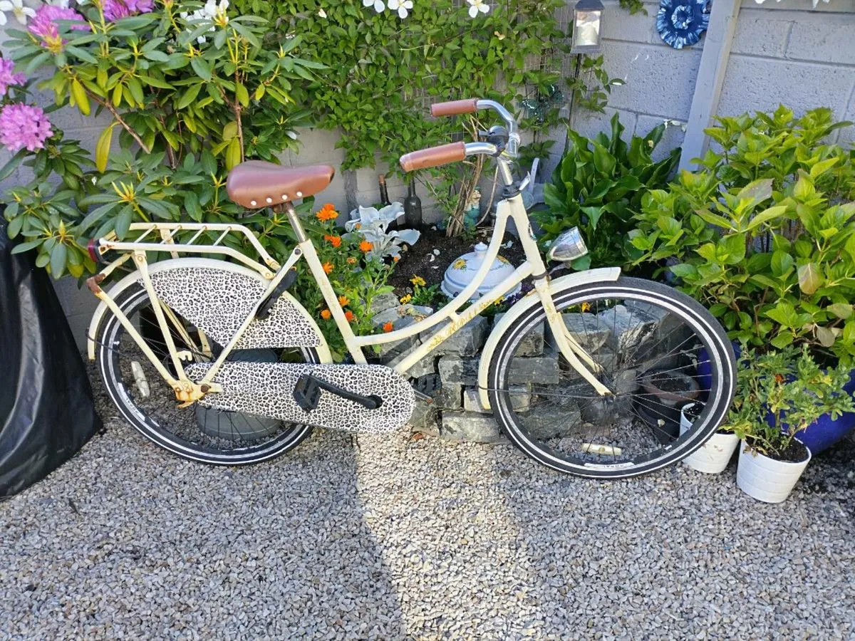 Ladies bike - Image 1