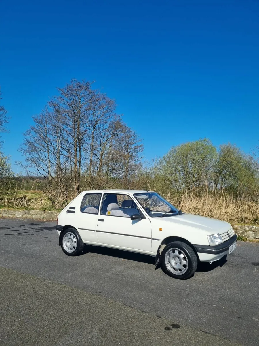 Peugeot 205 1992 - Image 1