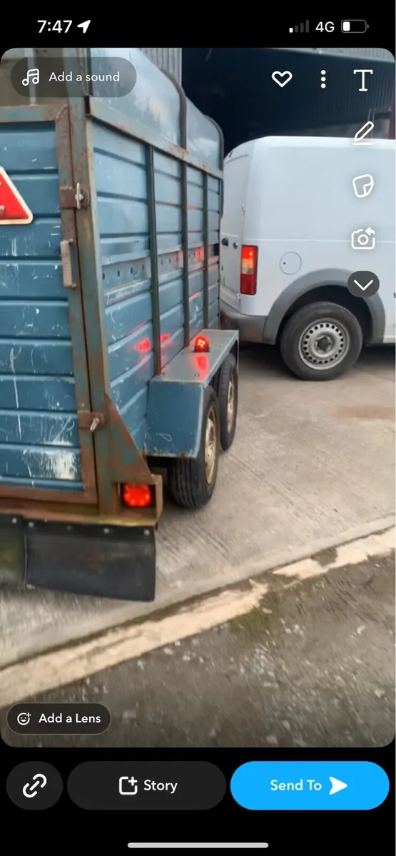Cattle trailer - Image 1