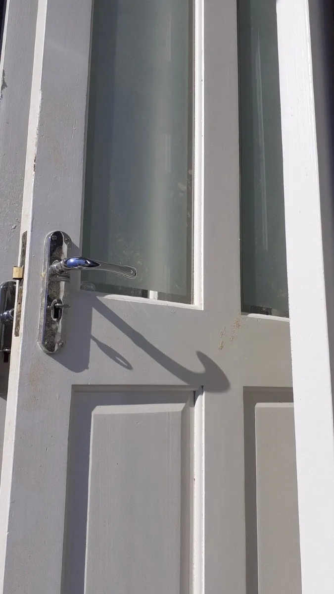 Doors x 4. Free to take - Image 1