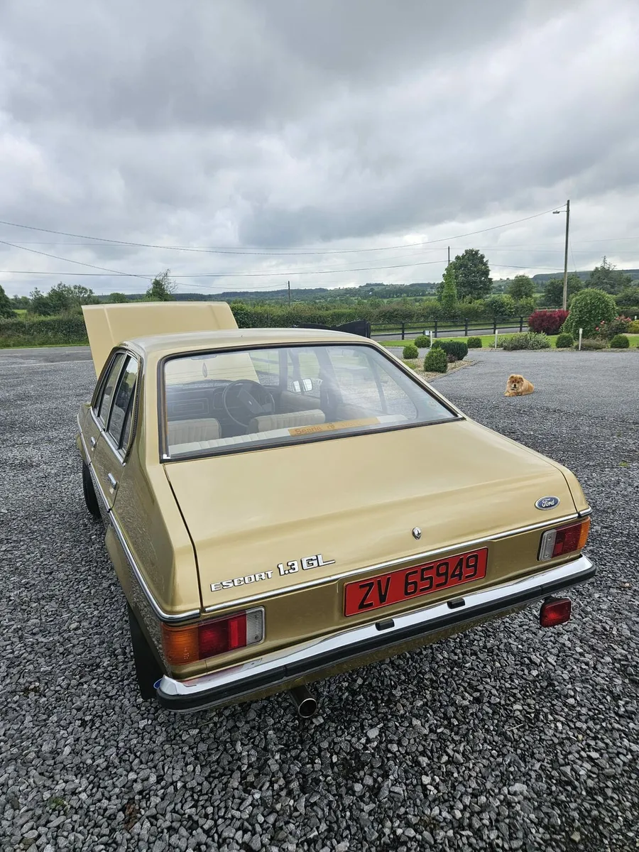 1979 Ford Escort - Image 4
