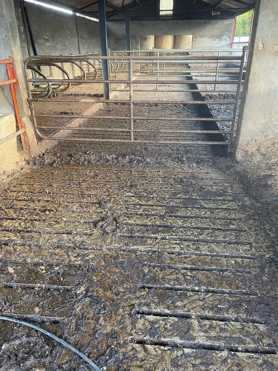 Powerwashing service - Image 3