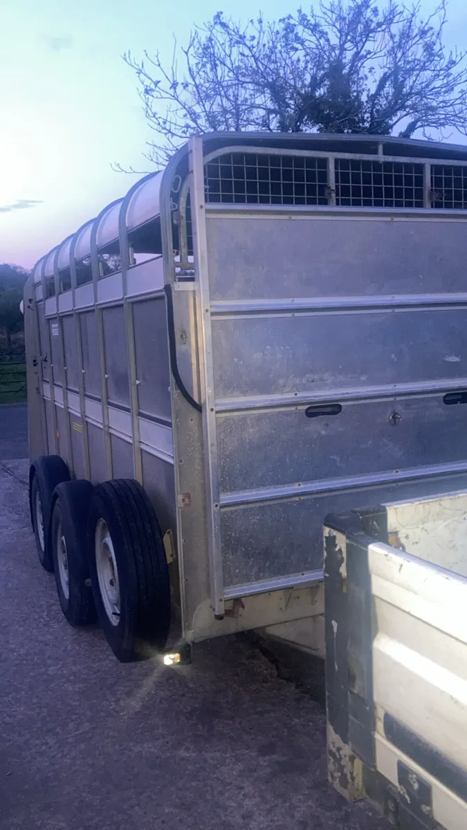 Ifor Williams cattle / sheep trailer - Image 2