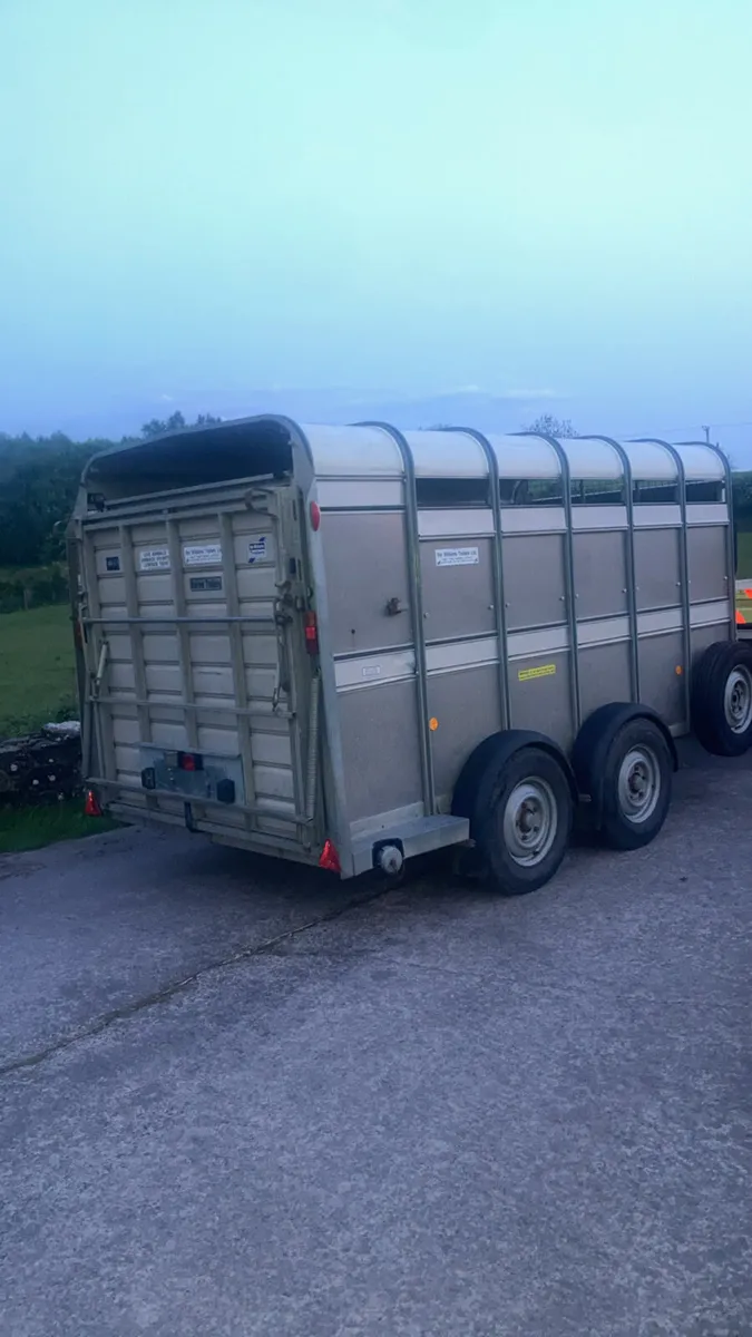 Ifor Williams cattle / sheep trailer - Image 3