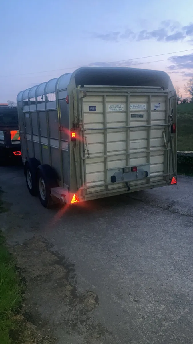 Ifor Williams cattle / sheep trailer - Image 4