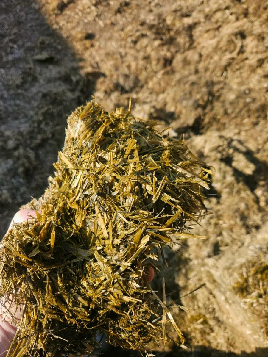 Top quality pit silage - Image 3