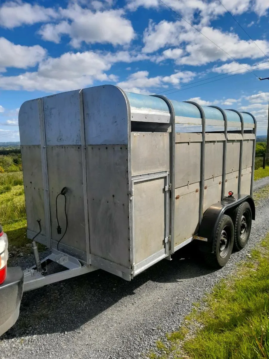 Ifor Williams 12ft x 6ft cattle trailer - Image 1