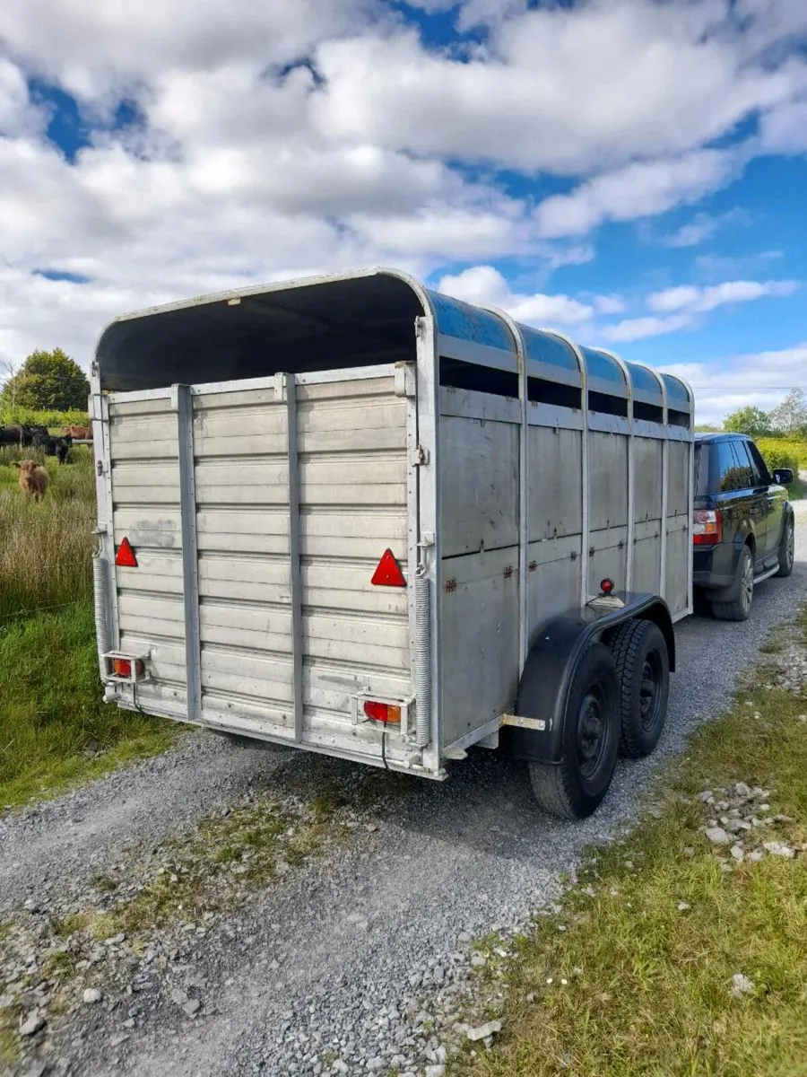 Ifor Williams 12ft x 6ft cattle trailer - Image 3