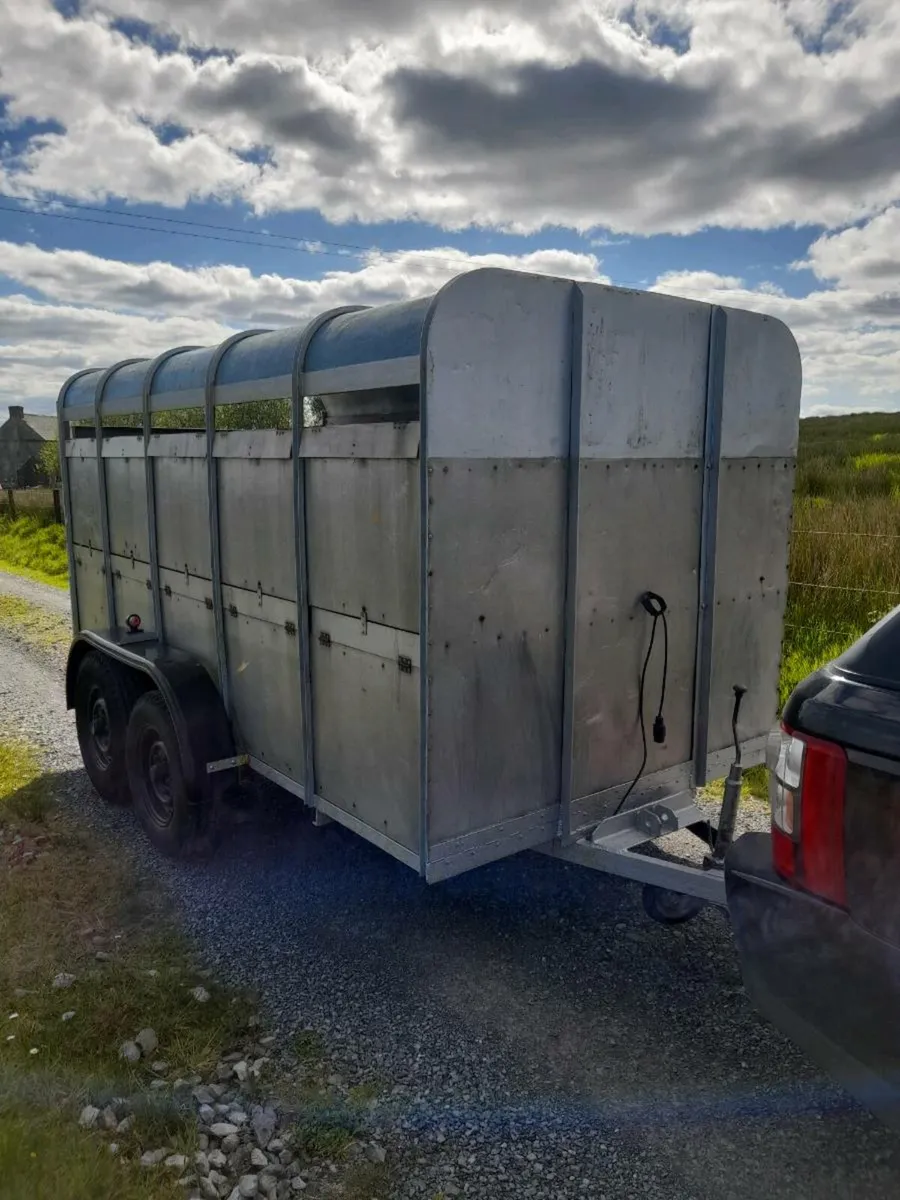 Ifor Williams 12ft x 6ft cattle trailer - Image 4