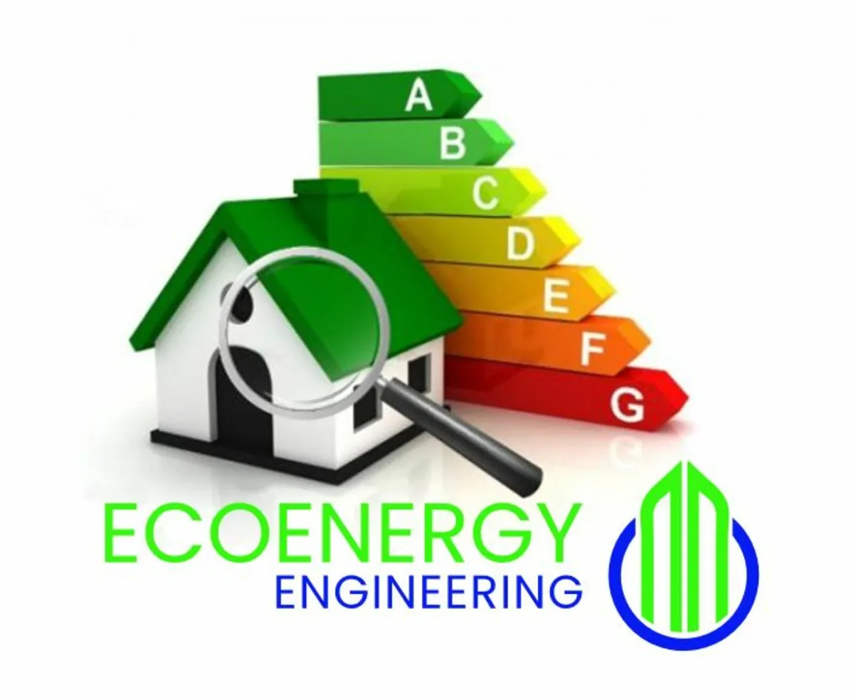 Domestic BER assessments - Image 1