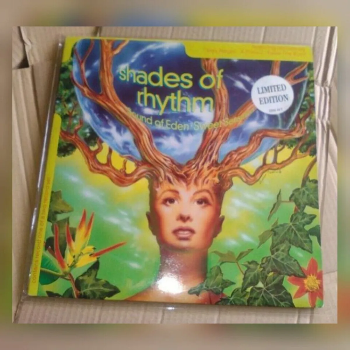 LARGE Blake Sleeve Record Plastic Cover NO FLAP - Image 1