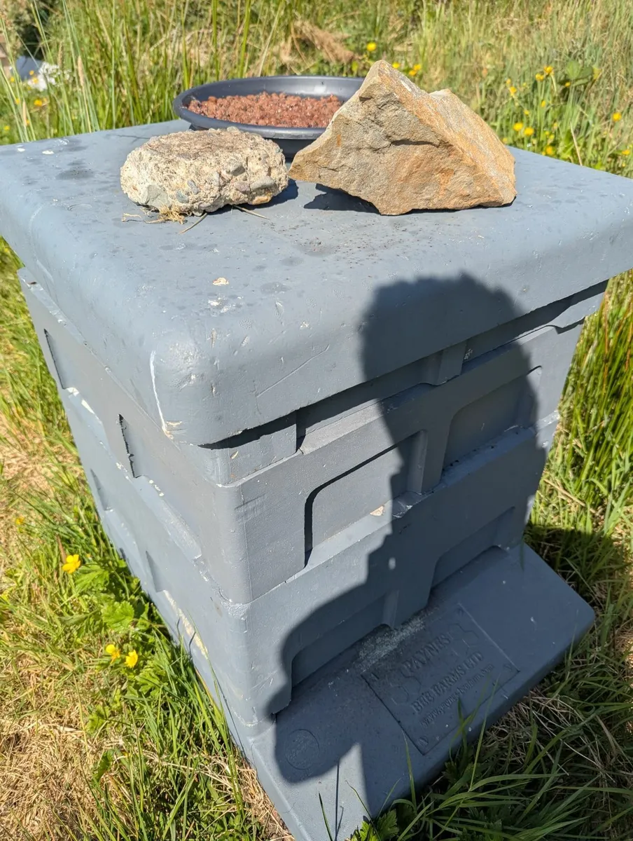 Beehives