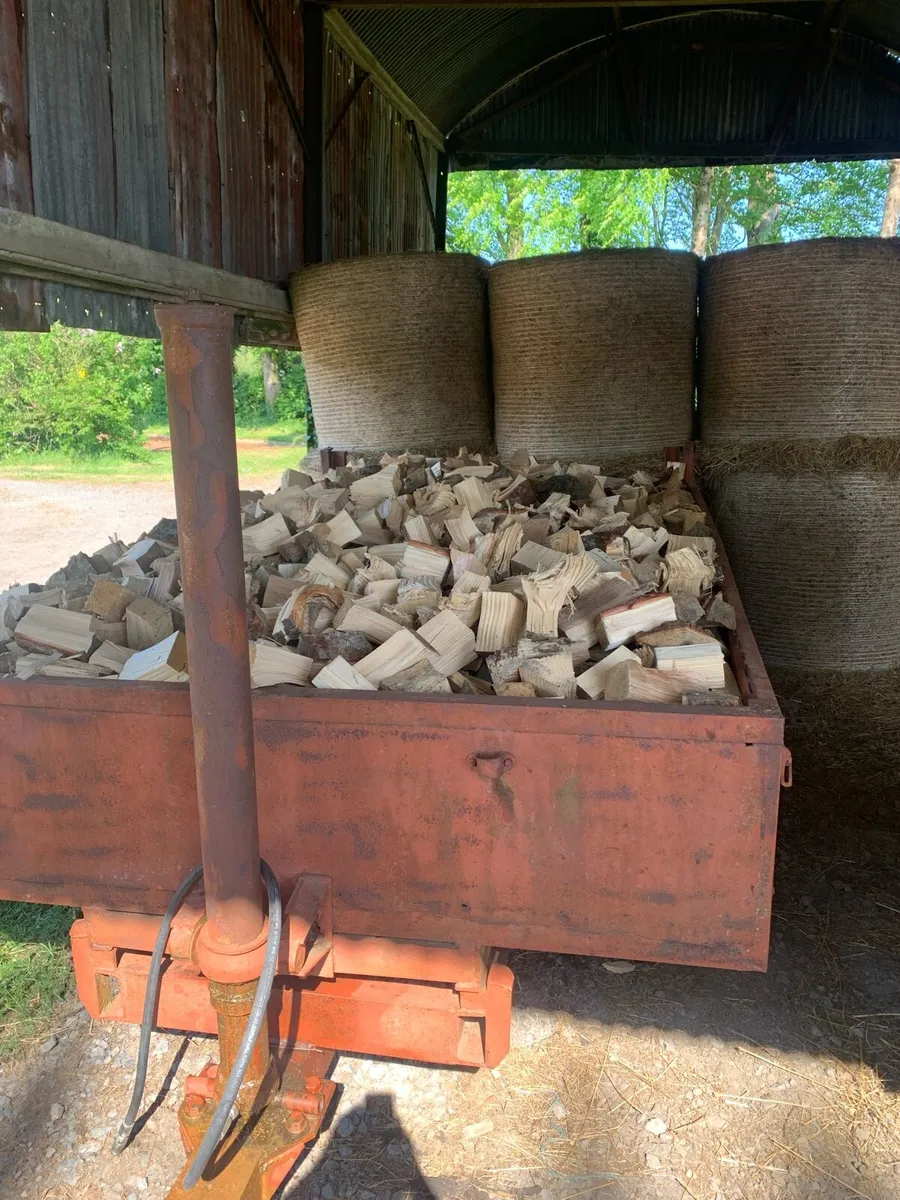 Firewood - Image 1