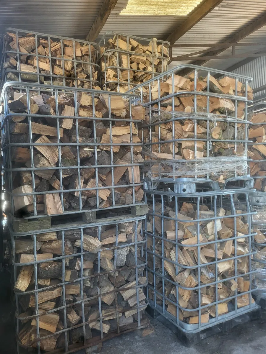 Seasoned Beech Firewood - Image 1