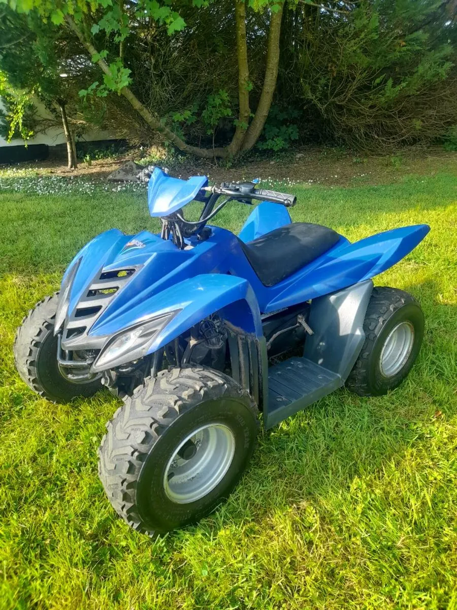 2013 Dinli 50cc Quad - Image 2