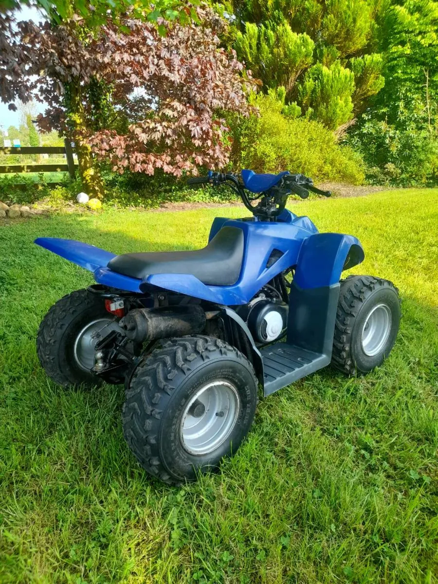 2013 Dinli 50cc Quad - Image 3