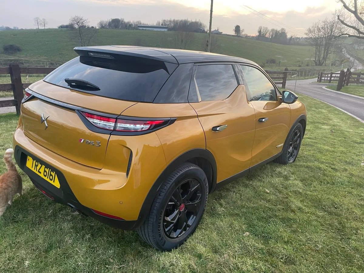 2020 DS - Image 2