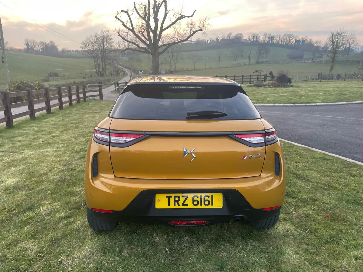 2020 DS - Image 3