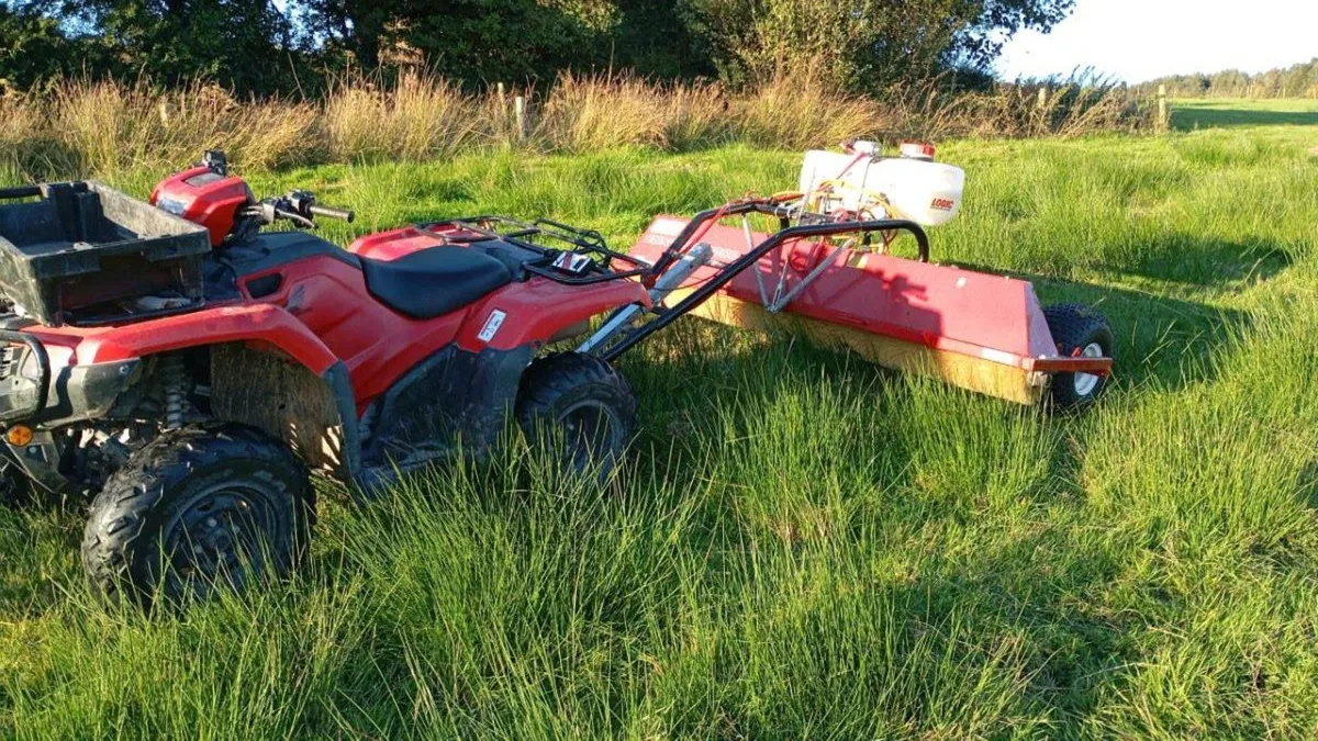 Weedlicking + Spraying - Image 1