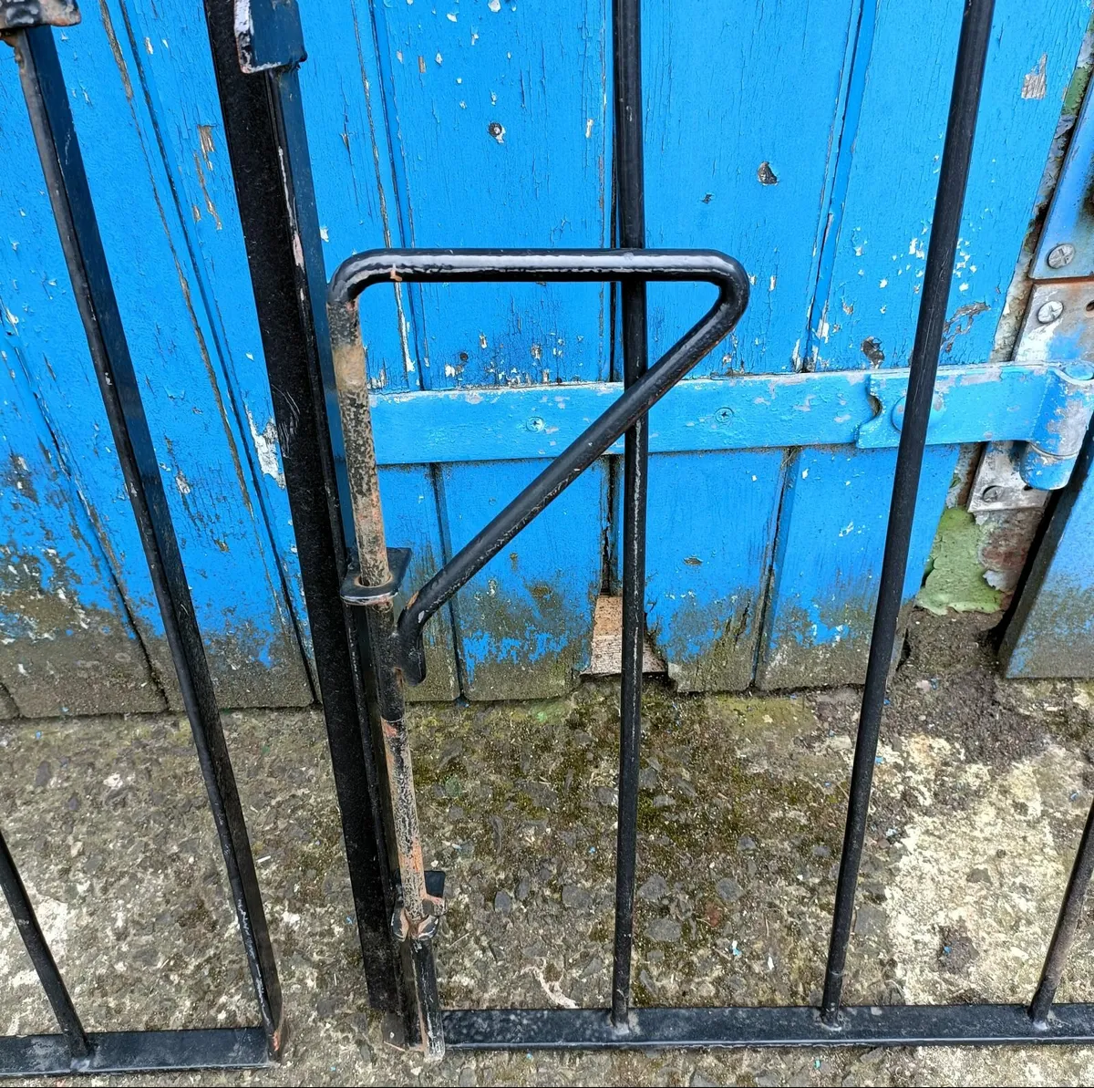 Set Of Garden Gates & Matching Side Gate - Image 3