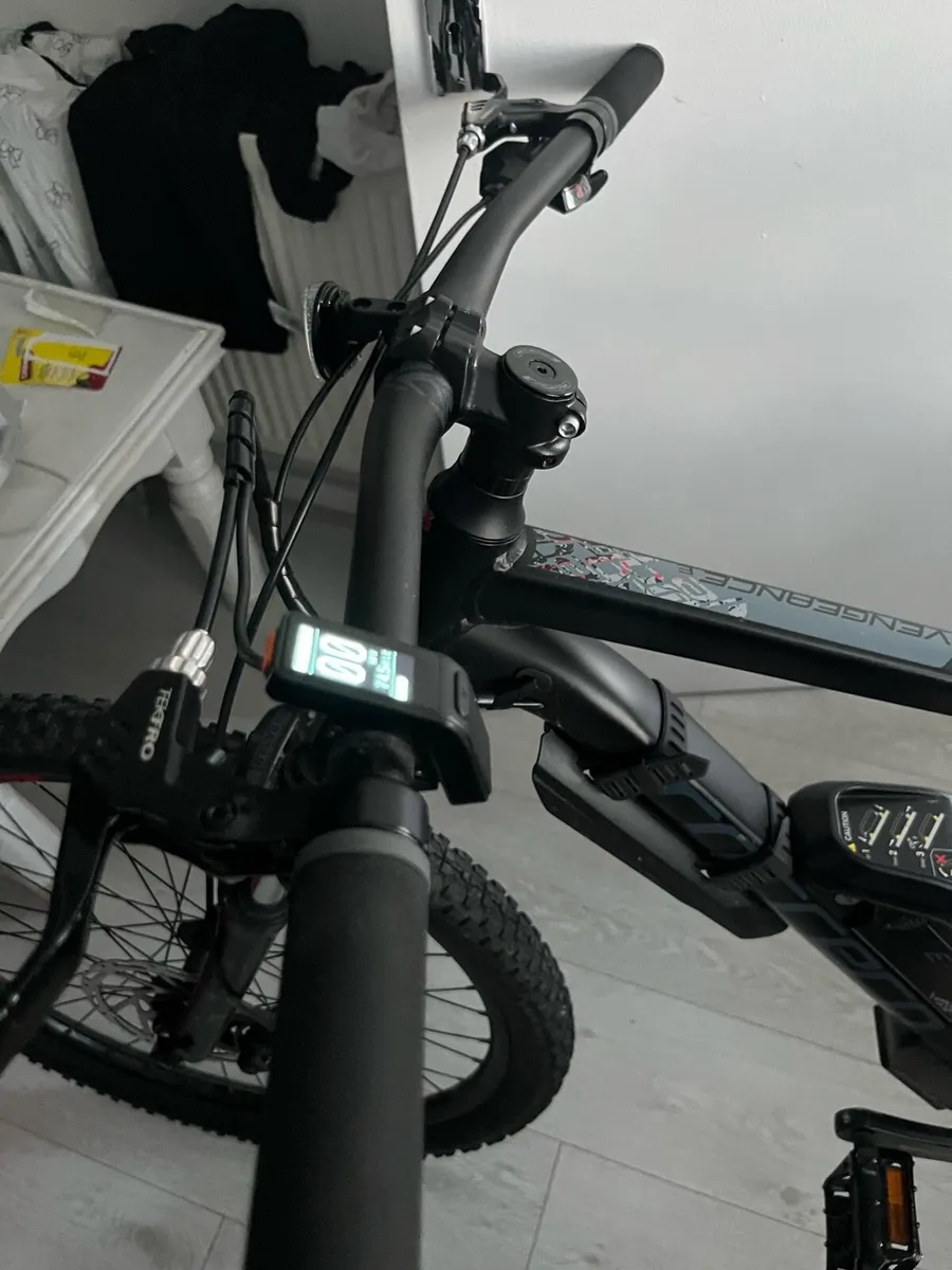 Ebike - Image 4